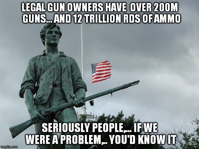 legal gun owners.jpg