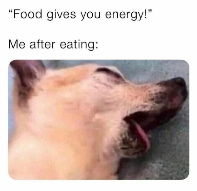 Food energy.jpg