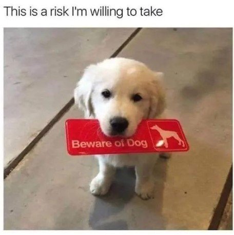 Beware-of-dog.jpg