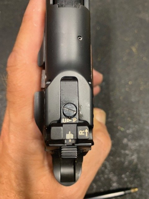 great rear sights.jpg