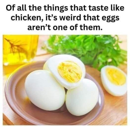 Eggs Chicken 014.png