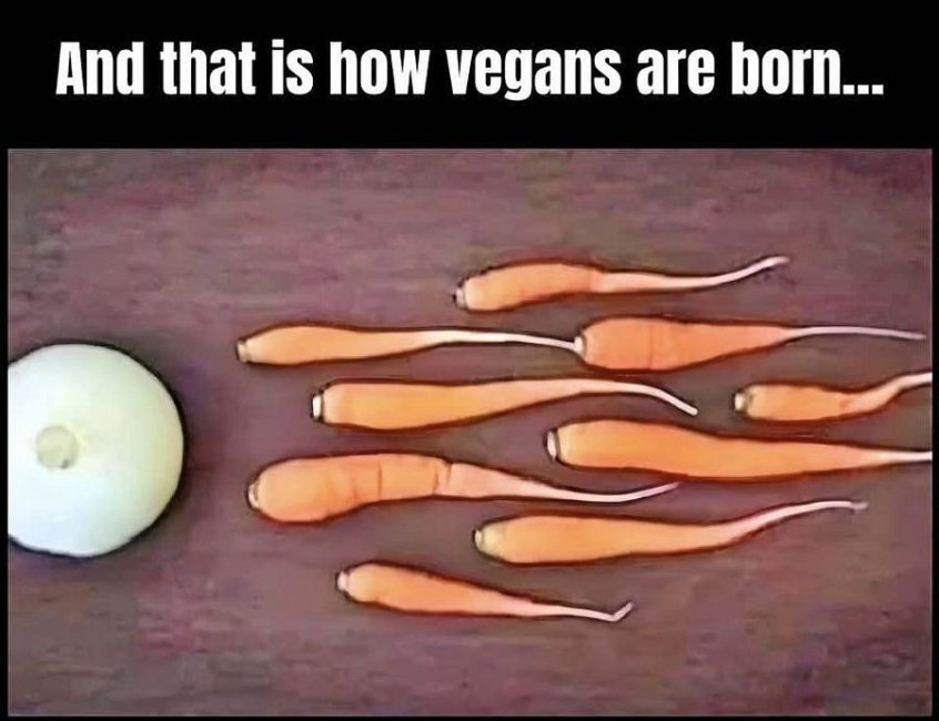 Vegans 10377.jpg