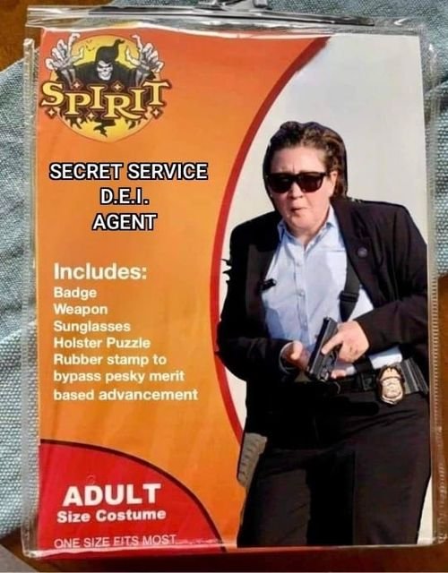 USSS fax agent.jpg