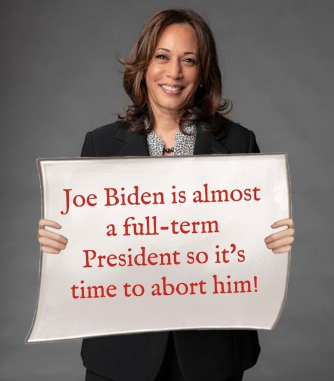 Abort Joe.jpeg