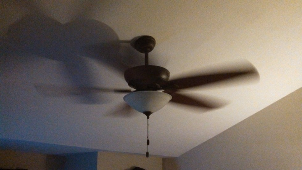 ceiling fan.jpg