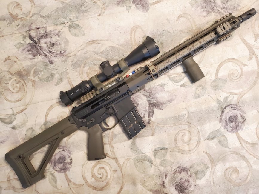 16 inch .22LR Carbine build RS current.jpg