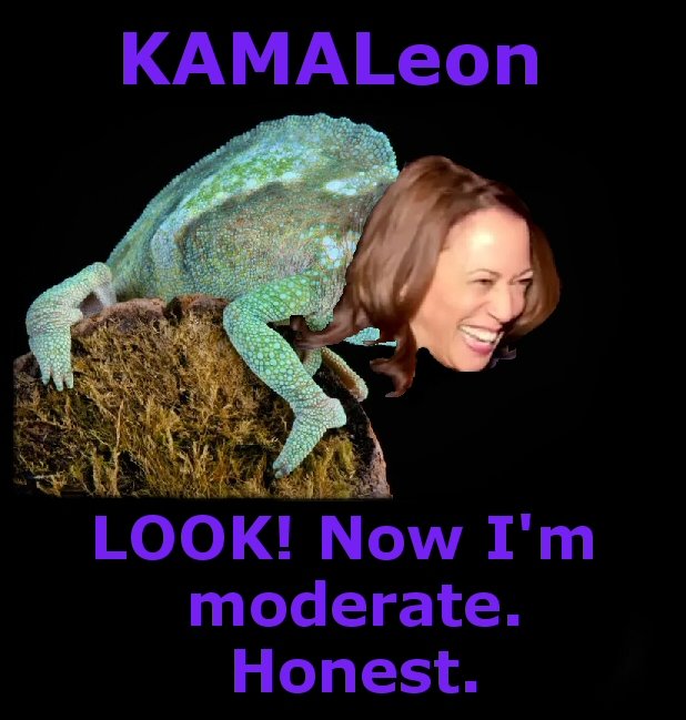 Kamaleon01.jpg