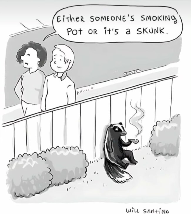 Skunk smoking skunk.jpg