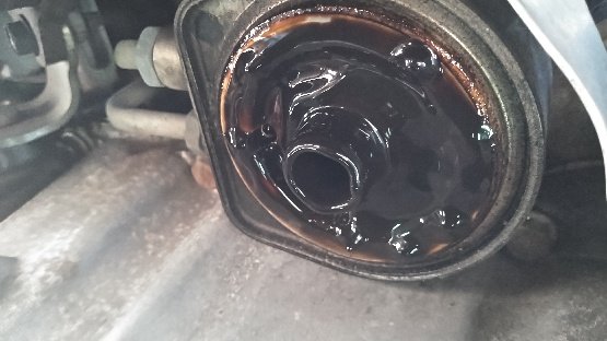 oil filter.jpg