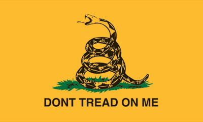 gadsden-2442824094.gif