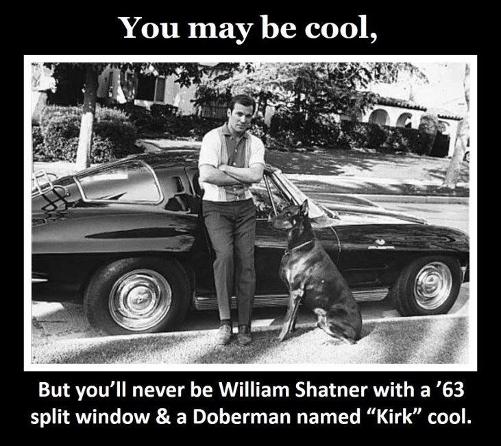 Kirk Cool.jpg