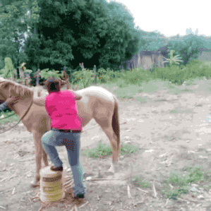 funny-fail-gif-getting-on-a-horse.gif