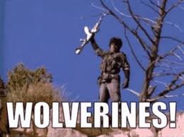 Wolverines 01.jpg