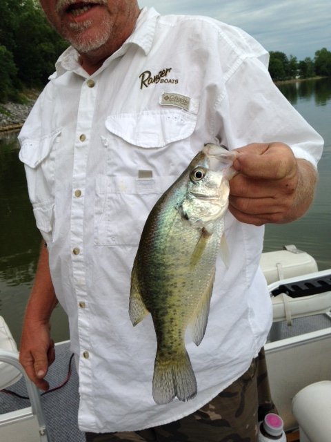 Crappie1.jpg