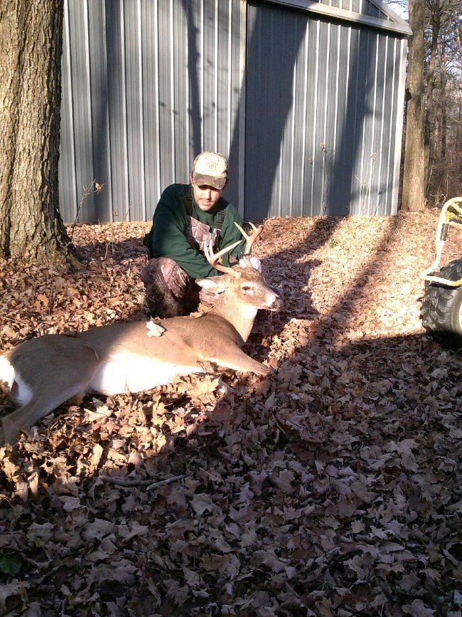 deer 2014.jpg