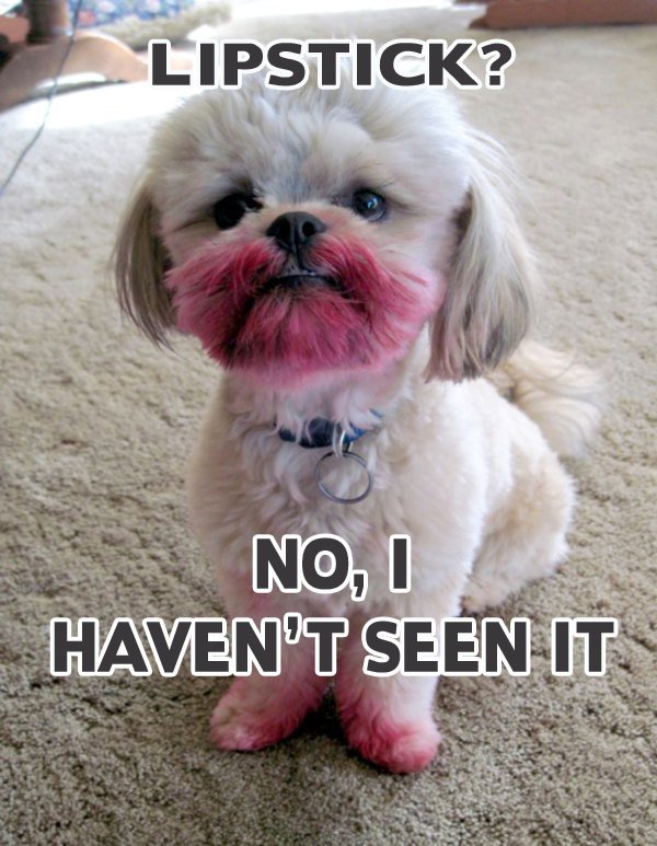 lipstickdog.jpg