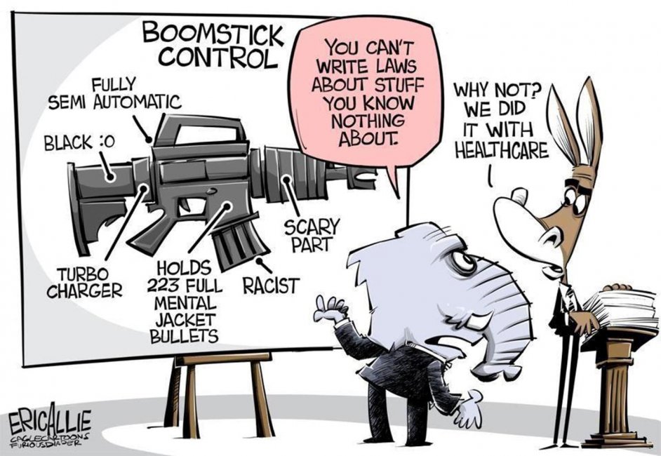 gun-control-cartoon.jpg