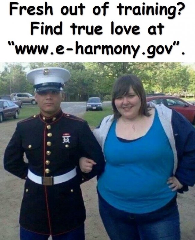 eharmony.gov.jpg