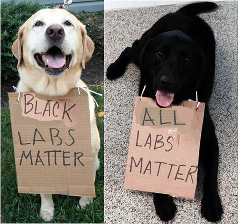 labs matter.png