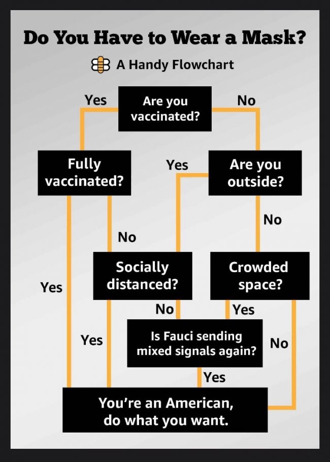 Mask_Flowchart.jpg