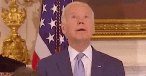 biden.gif