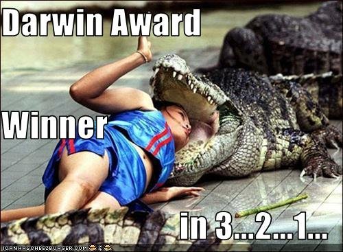 woman+w-gator-DarwinAward_PHoto-bigAPE+on+CheezburgerDotCom.jpg