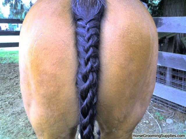 TailBraid031.jpg