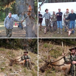 Elk, 317" from Bob MArshall Wilderness 2009