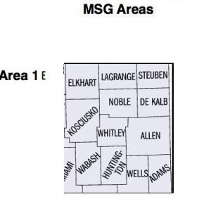 msgareas 1E