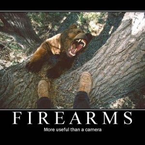 bear camera