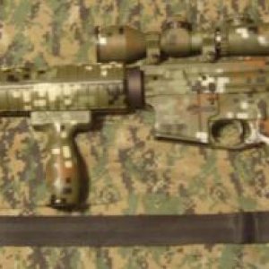 Marpat Bushmaster AR15