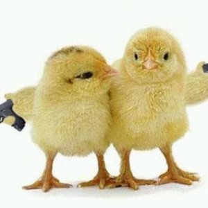 354725 Chicks with guns 620