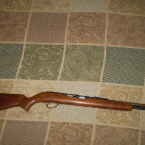 Savage Arms Springfield model 187N  .22