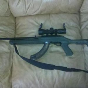 Ruger 10/22