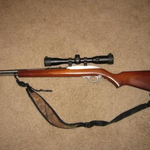 .22 Marlin 60