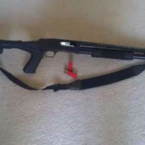 Mossberg 500 SP

Safety checked.