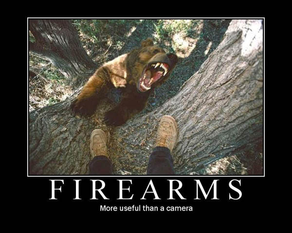 bear camera