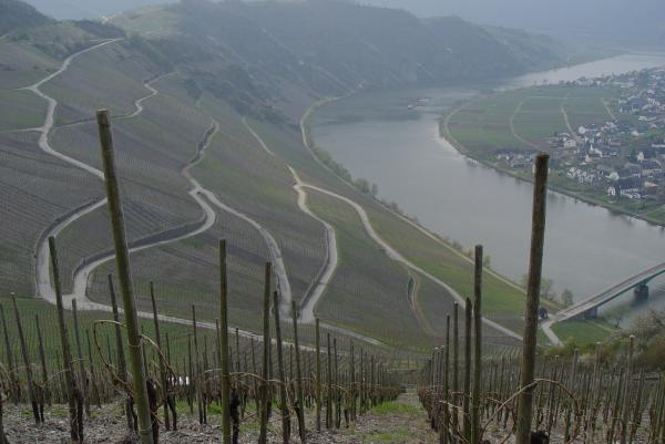 Mosel River