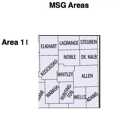 msgareas 1E