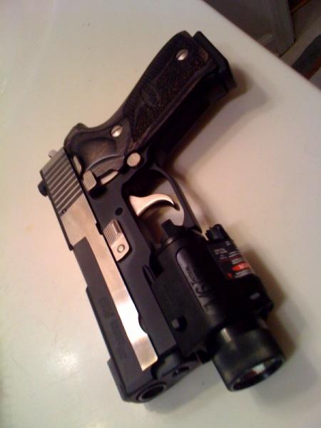 sig220 equinox with laserlight